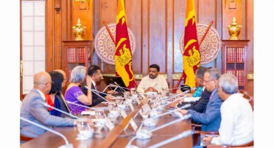 ජනපති සහ තානාපතිවරුන් පිරිසක් අතර හමුවීමක්..